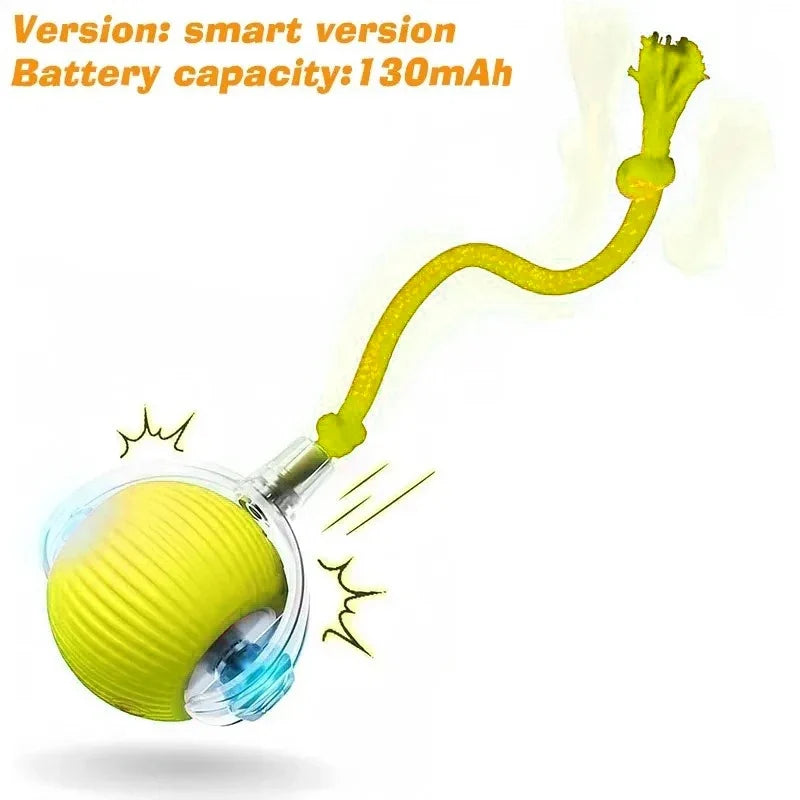 Dog Interactive Ball Toy Automatic Rolling - ProPawPet.com