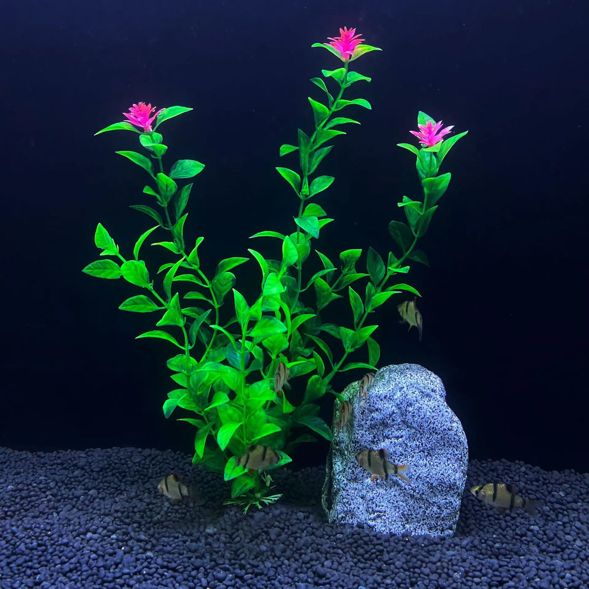 30cm High Aquarium Simulated Water Plants - ProPawPet.com