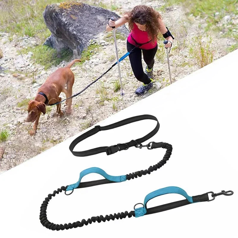 Outdoor Pet Dual Elastic Traction Rope - ProPawPet.com