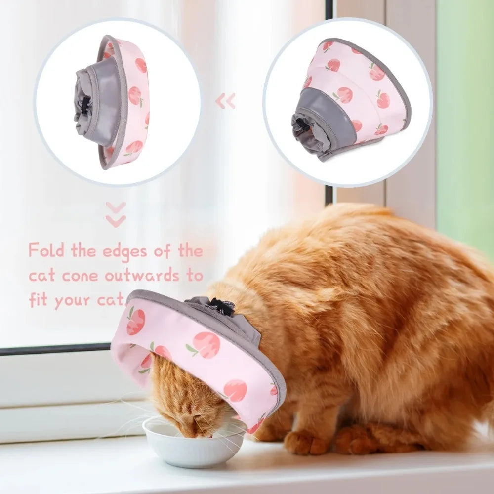 Adjustable Cat Recovery Collar Lightweight - ProPawPet.com