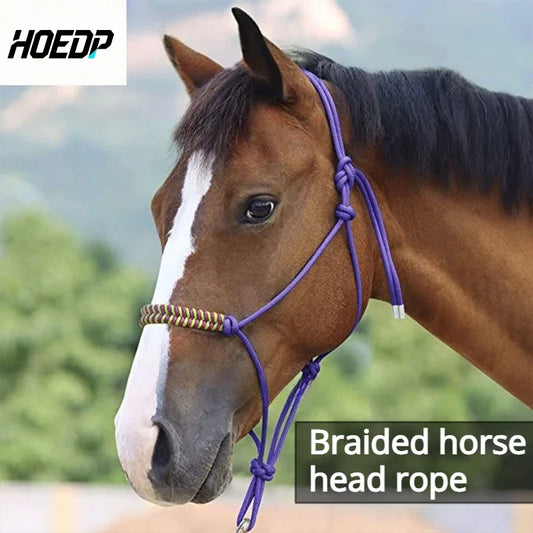 For Horses Style Training Halter Woven Horse - ProPawPet.com