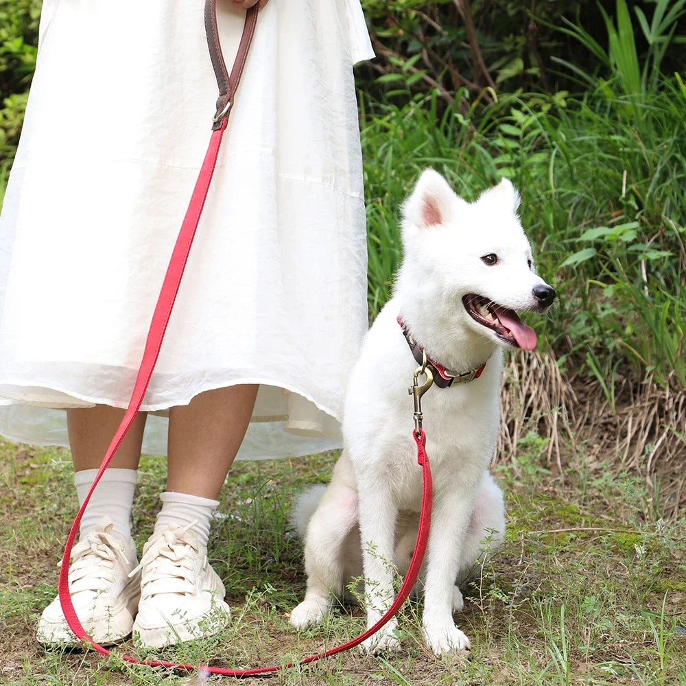 4.5ft Dog Pet Leash Rope 9 Colors PU Leather - ProPawPet.com