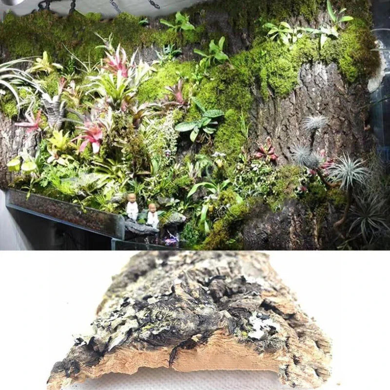 2Pcs Natural Tree Bark Aquarium Decoration - ProPawPet.com