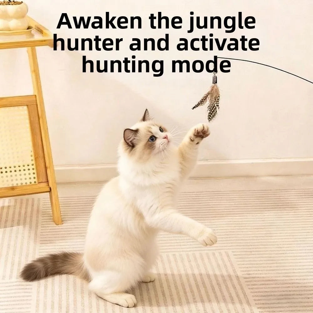 Wooden Handle Spring Teasing Cat Stick - ProPawPet.com