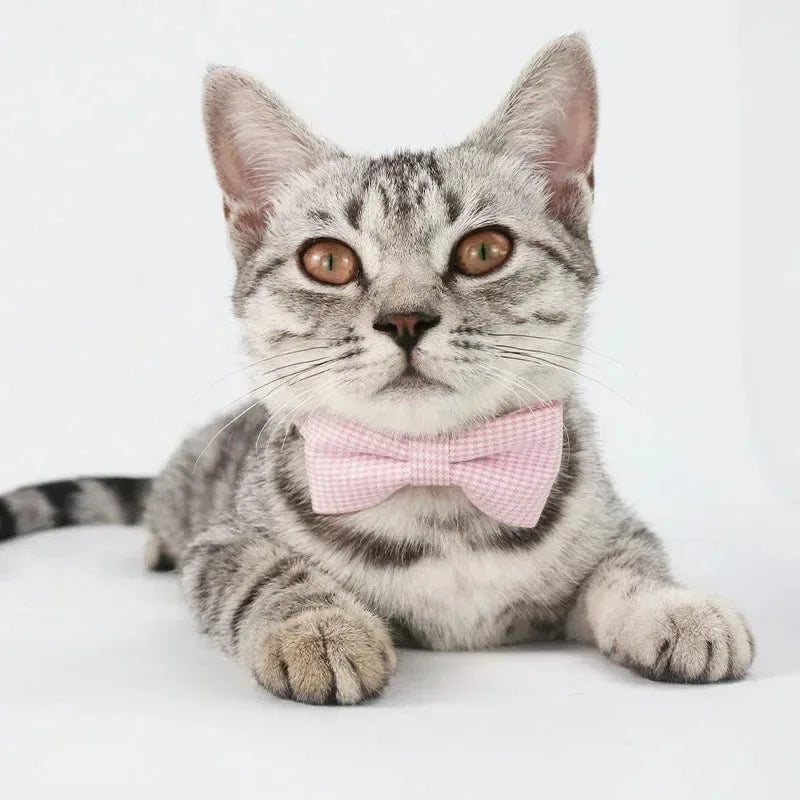 Cute Cat Collar with Bow Tie Adjustable - ProPawPet.com