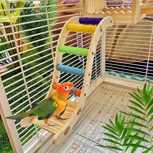 Parrot Frosted Ladder Toy Climbing Platform - ProPawPet.com