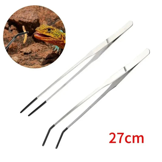 Stainless Steel Pet Rubber-Headed Feeding - ProPawPet.com
