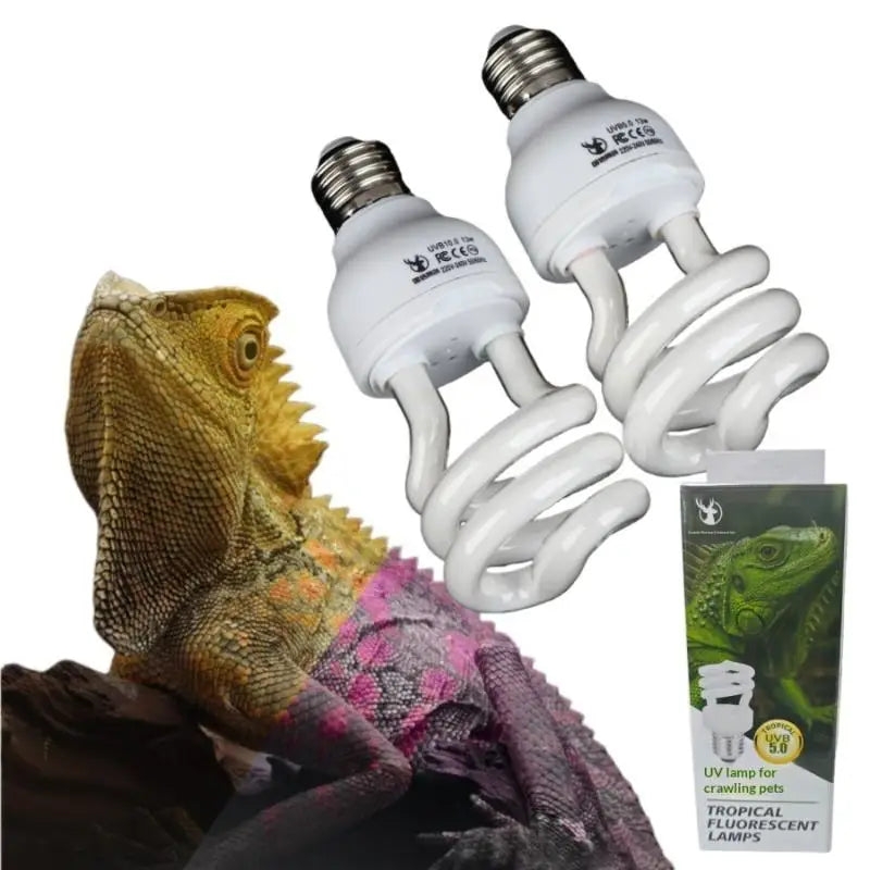 Turtle Lizard Snake Reptile Heating Lamp - - ProPawPet.com