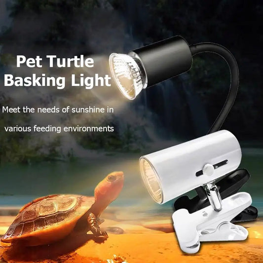 Reptile Lamp Pet Amphibians Lizards Heating - ProPawPet.com