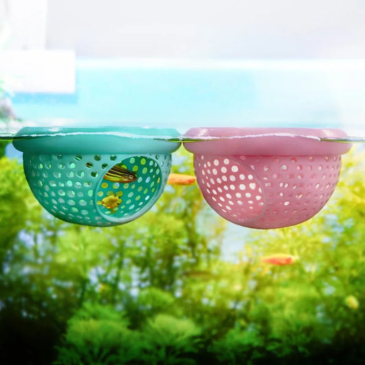 2-IN-1 Floating Fish Feeding Circle & - ProPawPet.com