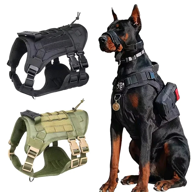 Heavy DutyTactical Leash Set Dog Harness for - ProPawPet.com