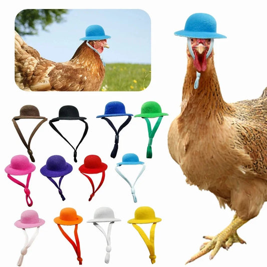 Chicken Hat For Hens Tiny Pets Funny Chicken - ProPawPet.com