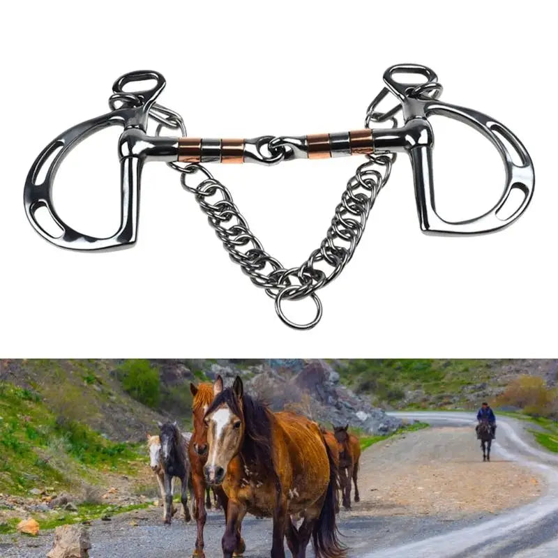 31BE Rustproof Stainless Steel Double Chain - ProPawPet.com