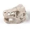 Resin Dinosaur Fossil Simulation Mini - ProPawPet.com