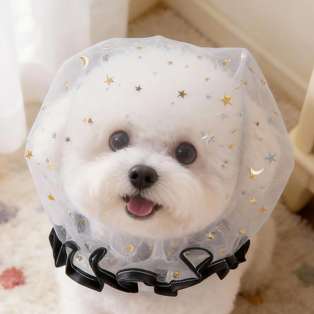 Dog Face Mesh Net Breathable Mesh No-Eat - ProPawPet.com