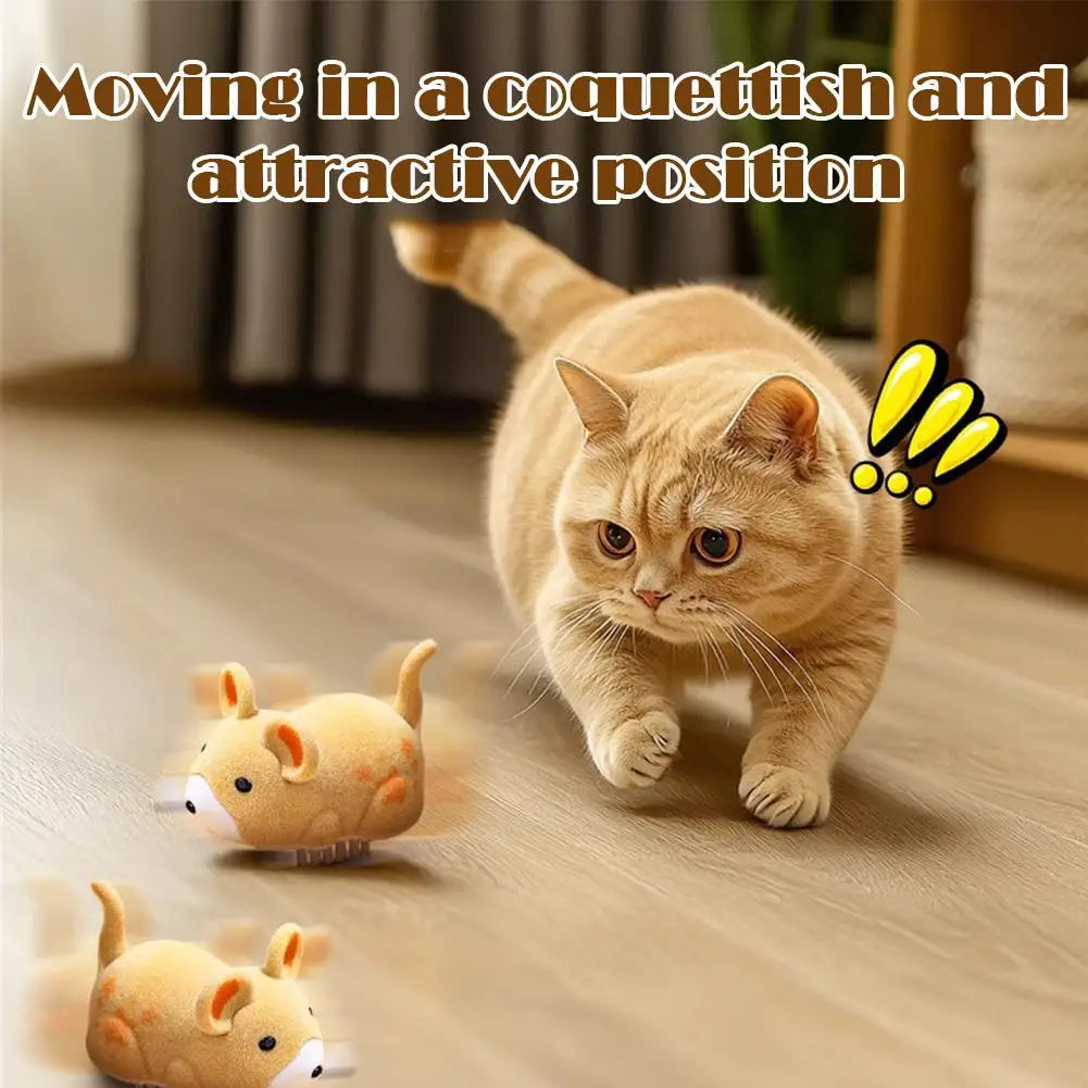 Interactive Cat Toys for Indoor Cats Cat - ProPawPet.com