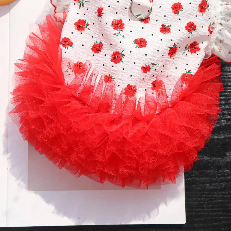 New Floral Lace Cat Dog Dress with Leash, - ProPawPet.com