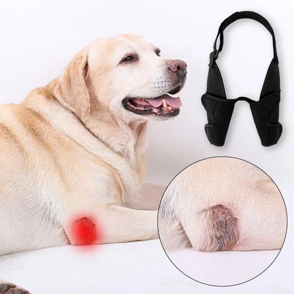 Full Coverage Dog Elbow Brace Shoulder - ProPawPet.com