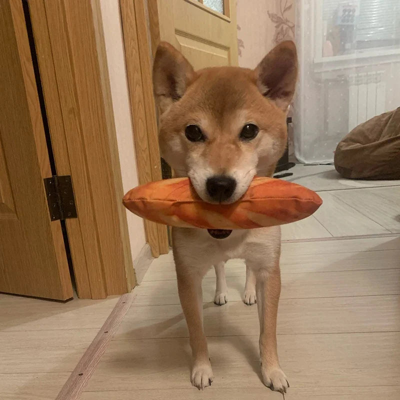 Bone Beef Shape Pet Dog Squeaker Toys for - ProPawPet.com