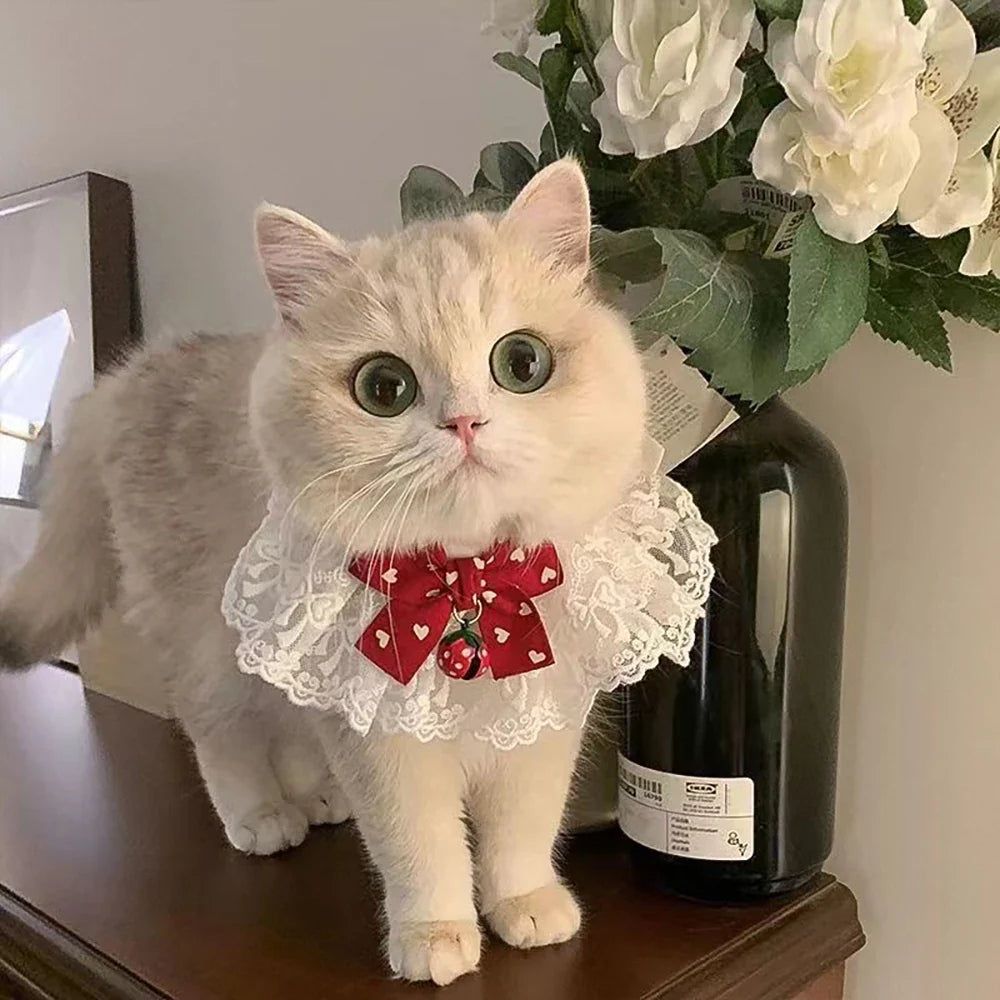 Cat Bow Tie Cute Bell Drool Bib Princess - ProPawPet.com