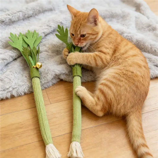 2pcs Cat Chew Toy Bite Resistant Interactive - ProPawPet.com