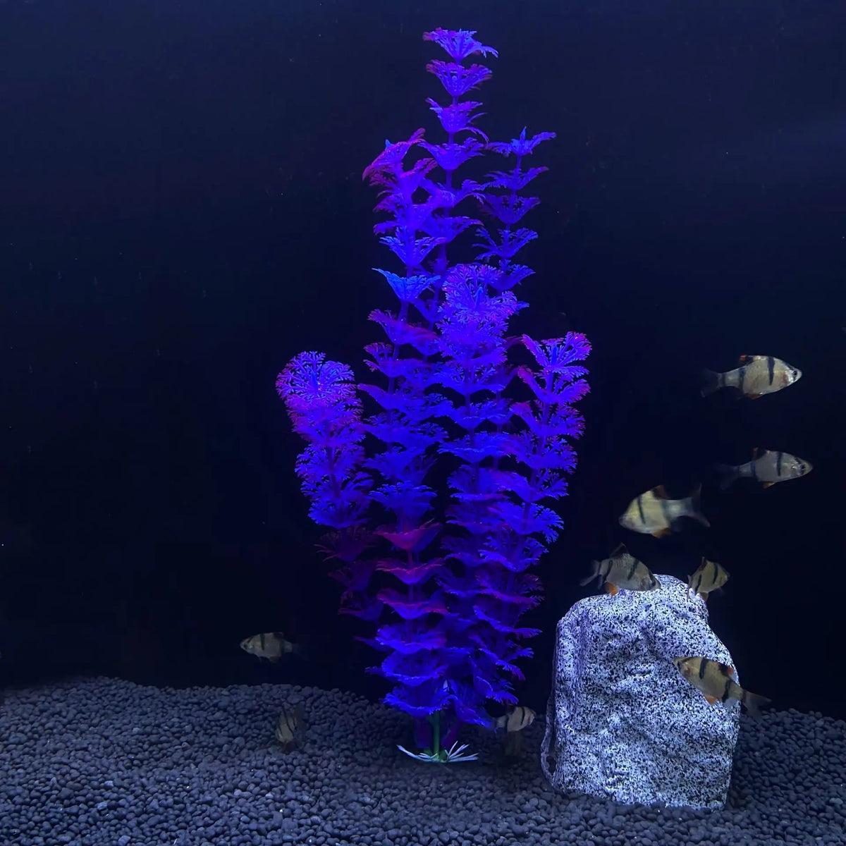 30cm High Aquarium Simulated Water Plants - ProPawPet.com