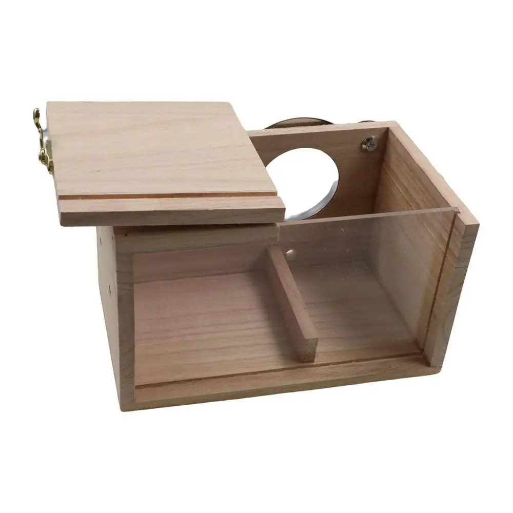 Transparent Window Wooden Parrot Breeding - ProPawPet.com