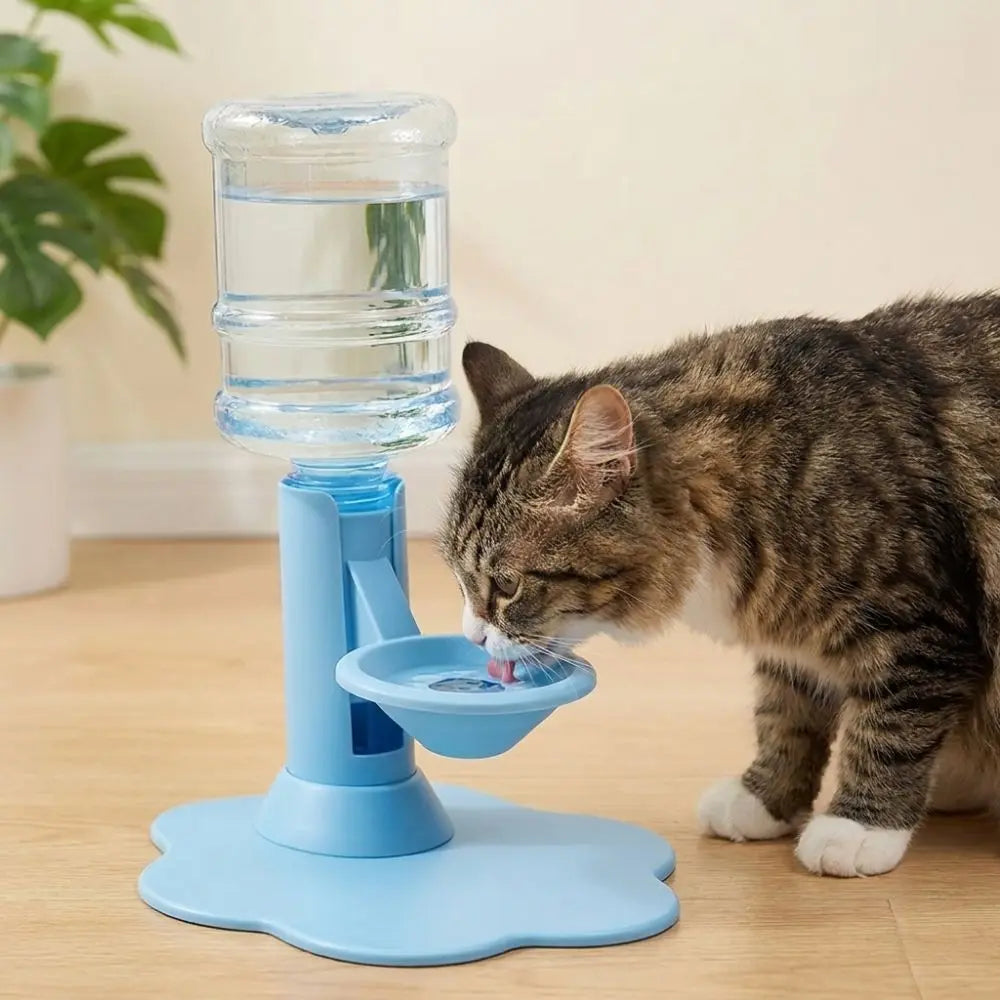 Adjustable Height Automatic Cat Water - ProPawPet.com