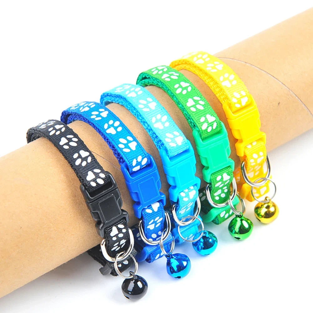 Colorful Pet Pattern Small Dog and Cat - ProPawPet.com