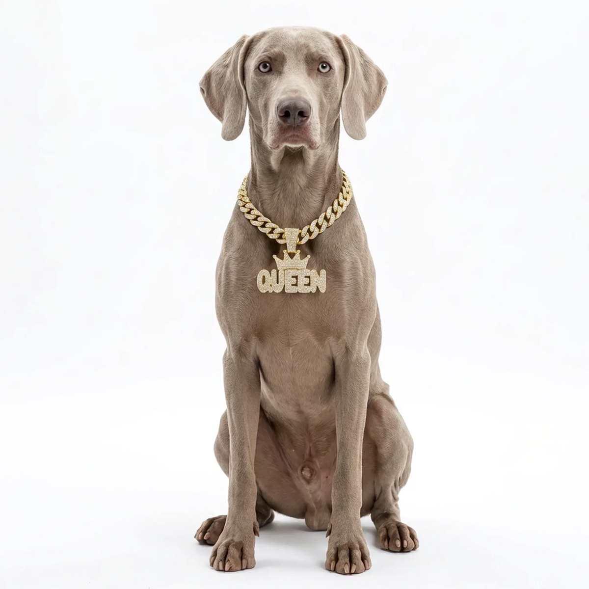 Cuban Dog Chain, Aluminum Alloy Pet Dog - ProPawPet.com