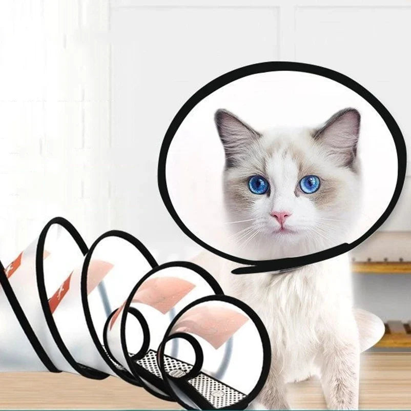 Prevent BiteTransparent Dog Cat Protection - ProPawPet.com