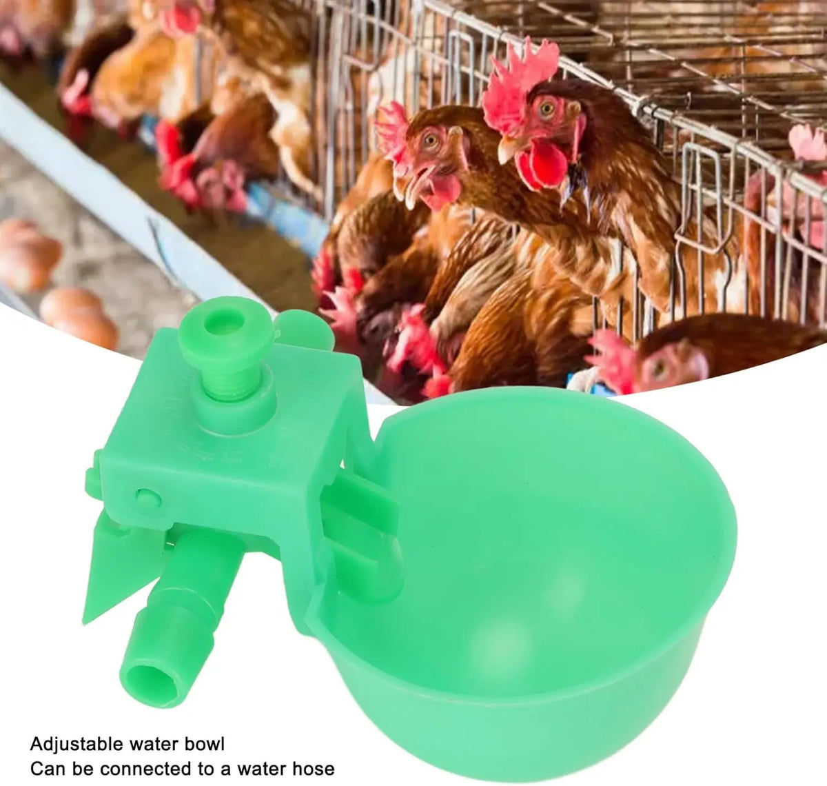 5-20 Sets Green Chicken Waterer Automatic - ProPawPet.com