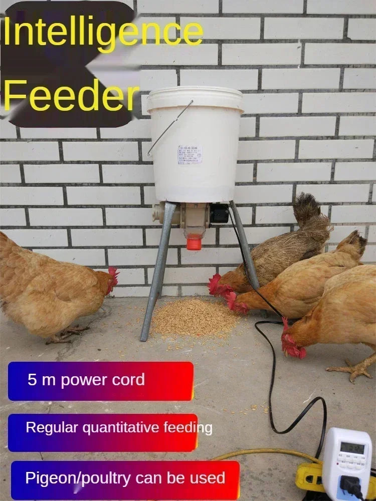 Automatic Chicken Feeder Pigeon Chicken Duck - ProPawPet.com