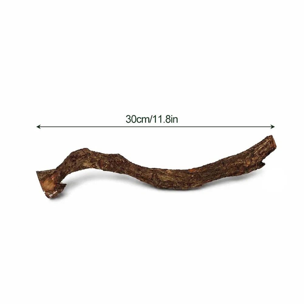 Reptile Arboreal Wood Habitat Fish Tank – 2 Colors