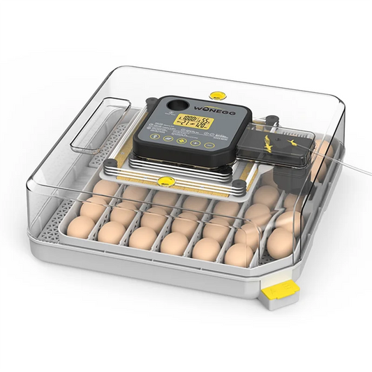 B62B-Egg Incubator For Hatching Eggs With - ProPawPet.com