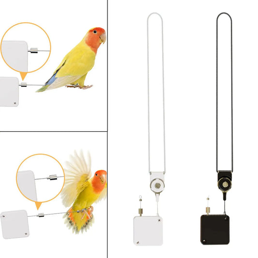 Bird Harness Leash Parrots Flying Rope 210cm - ProPawPet.com