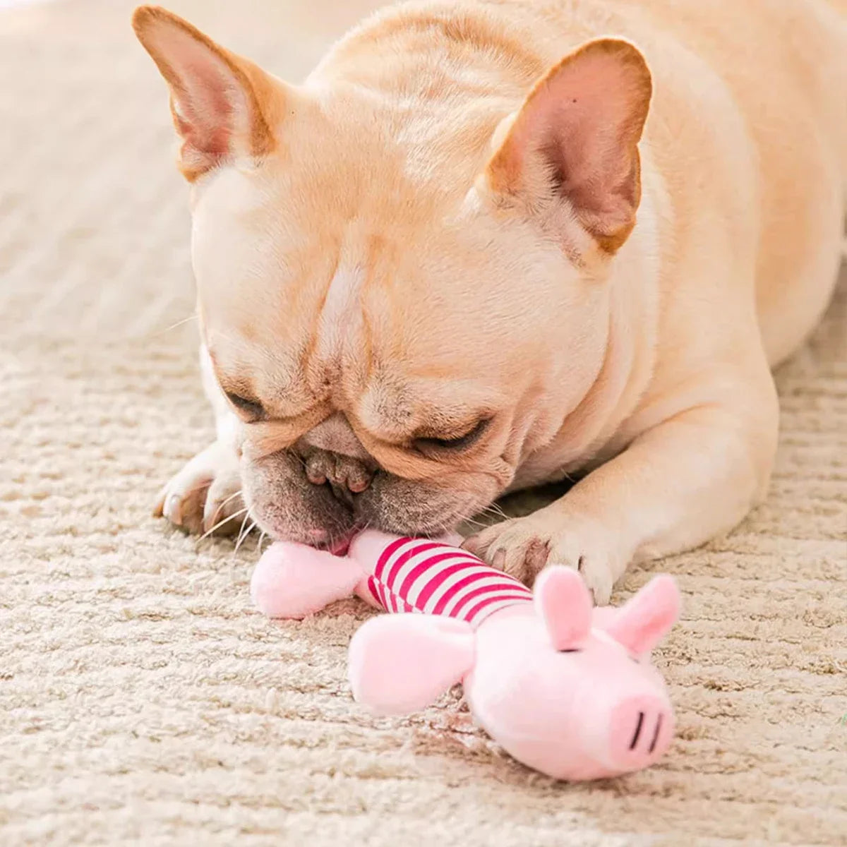 3/1Pack Animal Squeaky Toys for Dogs - ProPawPet.com