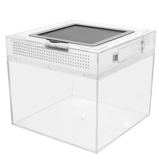 Tarantula Habitat Bowl Terrarium House - ProPawPet.com