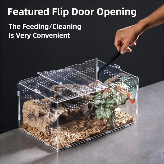 New Acrylic Reptile Habitat Clear Multiple - ProPawPet.com