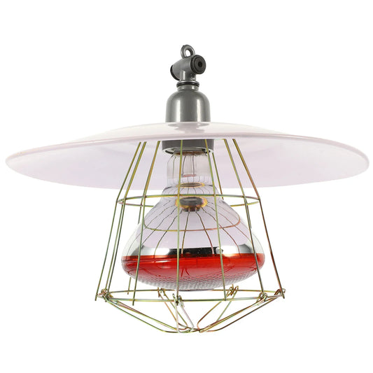 250W Pcs Insulating Lamp Set Durable Metal - ProPawPet.com