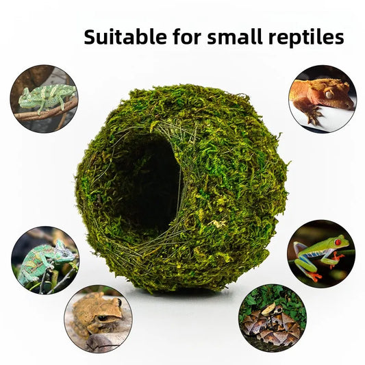 Reptile Humidity Hide – Moisture Retention - ProPawPet.com