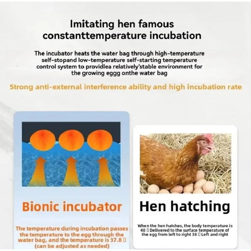 Waterbed Egg Incubator Provides Precise - ProPawPet.com