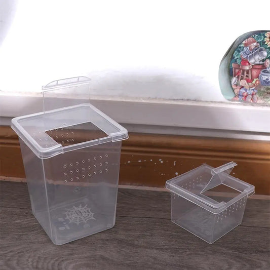 Reptile Accessories for Scorpion Spider Ants - ProPawPet.com