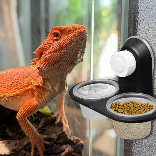feeding table Reptile Food & Water Dish, - ProPawPet.com