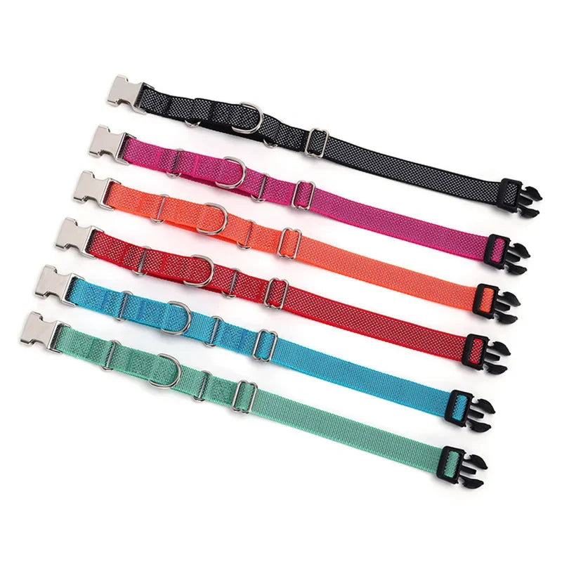 Personalized Martingale Dog - ProPawPet.com