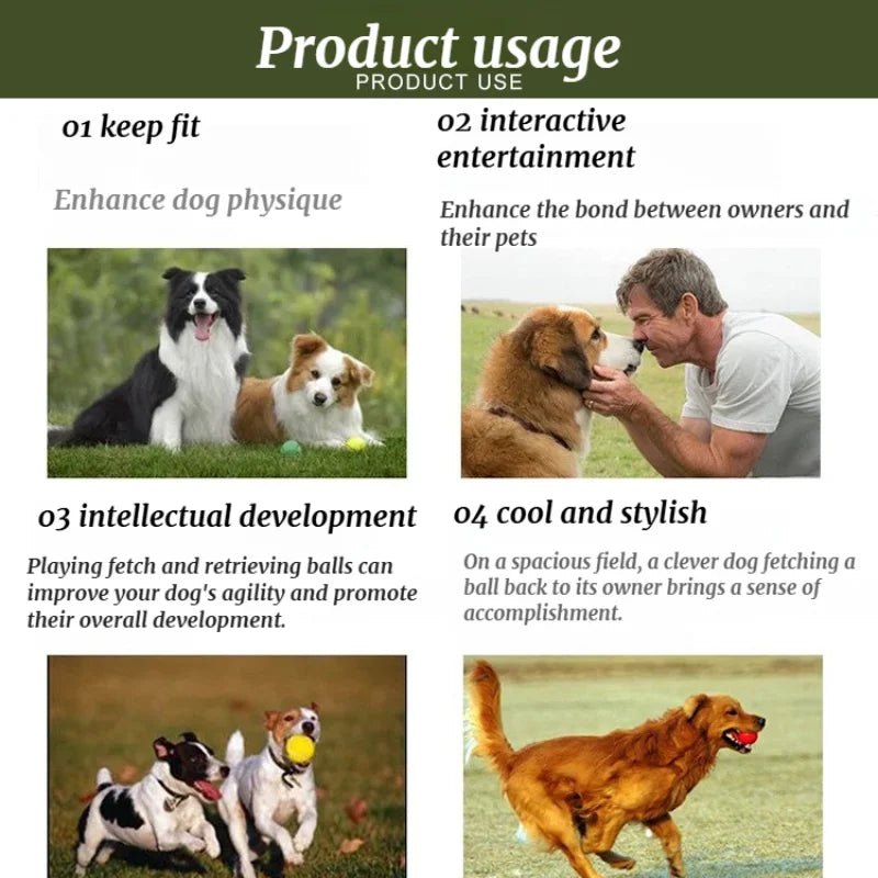 Pet Dog Toy Serving Gun Training Dog - ProPawPet.com