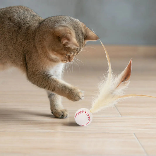 3Pcs Cat Interactive Ball Toys Bouncy Balls - ProPawPet.com