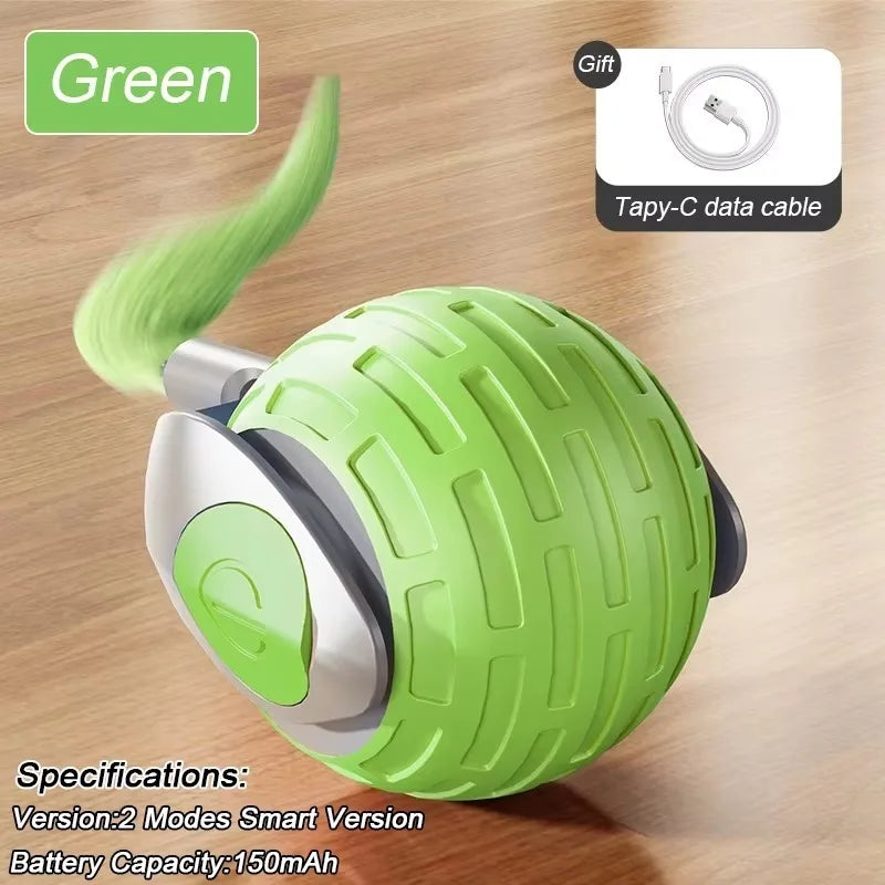 Indoor Interactive Birds Toy for Cat Chasing - ProPawPet.com