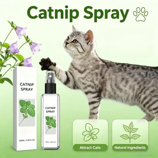 Cat Mint Calming Spray Anxiety Relief - ProPawPet.com