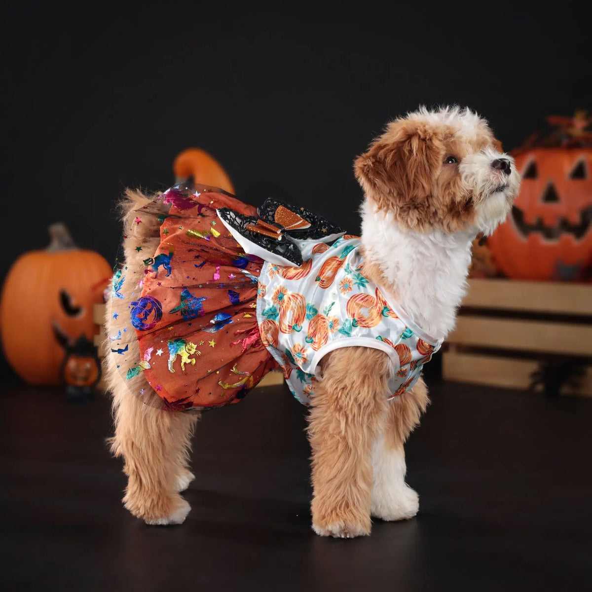 Cute Pet Halloween Ghost Pumpkin Skirt Dress - ProPawPet.com